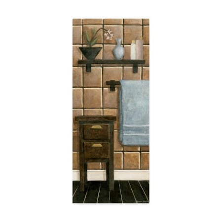 Megan Meagher 'Modern Bath Panel Iv' Canvas Art,8x19